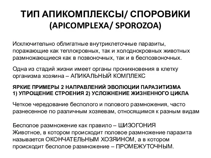 ТИП АПИКОМПЛЕКСЫ/ СПОРОВИКИ (APICOMPLEXA/ SPOROZOA) Исключительно облигатные внутриклеточные паразиты, поражающие