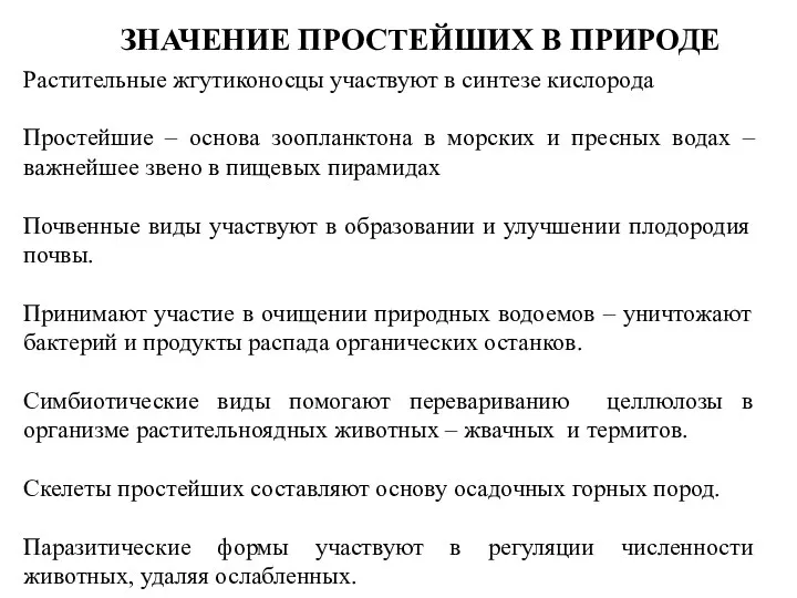 ЗНАЧЕНИЕ ПРОСТЕЙШИХ В ПРИРОДЕ Растительные жгутиконосцы участвуют в синтезе кислорода