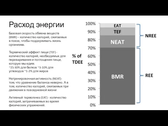 Расход энергии Базовая скорость обмена веществ (BMR) – количество калорий,