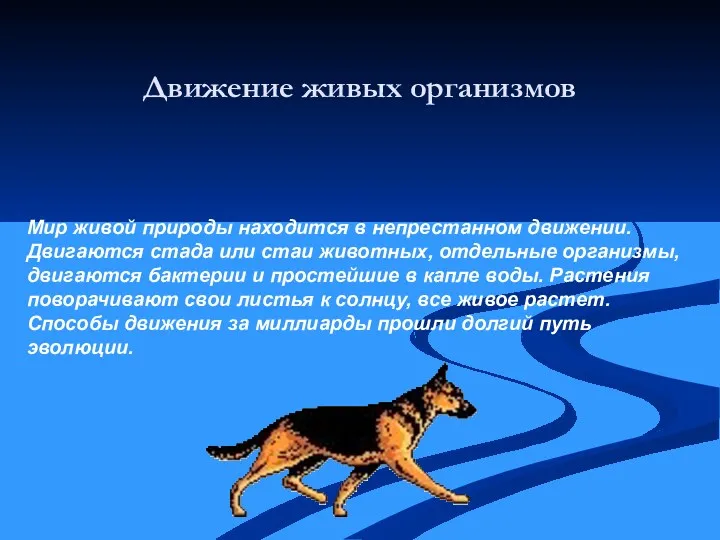 Движение живых организмов Мир живой природы находится в непрестанном движении.