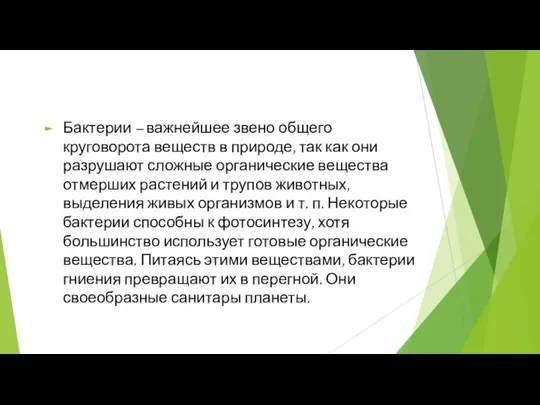 Бактерии – важнейшее звено общего круговорота веществ в природе, так