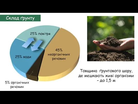 Склад ґрунту 5% органічних речовин 45% неорганічних речовин 25% повітря 25% води Товщина