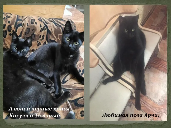 А вот и черные коты- Кисуля и Толстый. . Любимая поза Арчи.