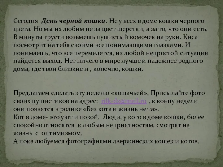 Сегодня День черной кошки. Не у всех в доме кошки черного цвета. Но