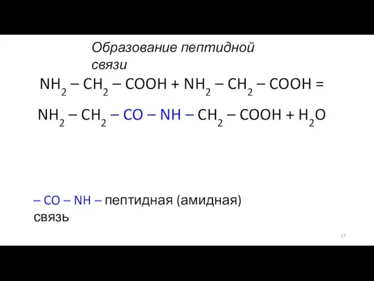 Образование пептидной связи NH2 – CH2 – COOH + NH2