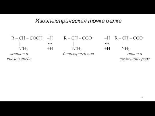 Изоэлектрическая точка белка