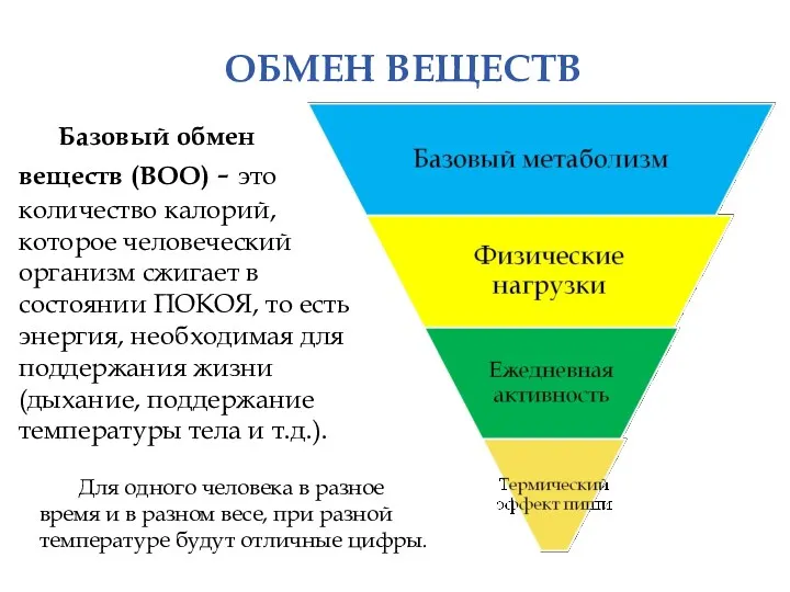 ОБМЕН ВЕЩЕСТВ Базовый обмен веществ (ВОО) - это количество калорий,