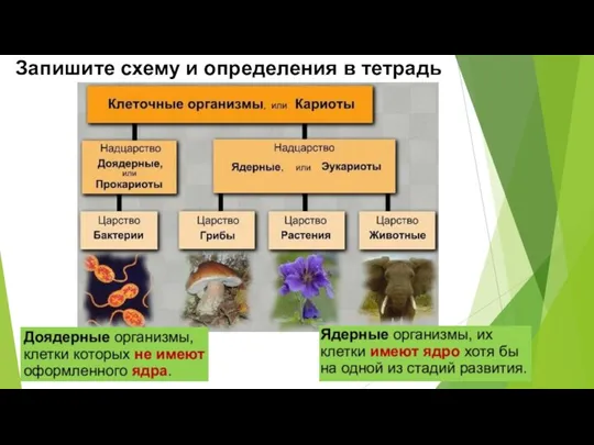 Запишите схему и определения в тетрадь