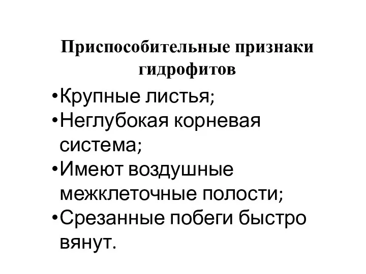 Крупные листья; Неглубокая корневая система; Имеют воздушные межклеточные полости; Срезанные