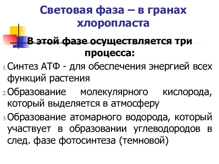 Световая фаза – в гранах хлоропласта В этой фазе осуществляется