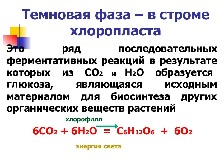 Темновая фаза – в строме хлоропласта Это ряд последовательных ферментативных