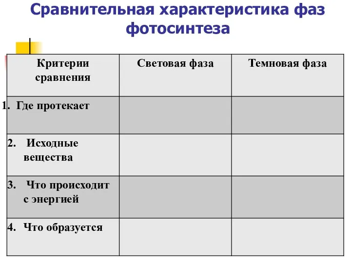 Сравнительная характеристика фаз фотосинтеза