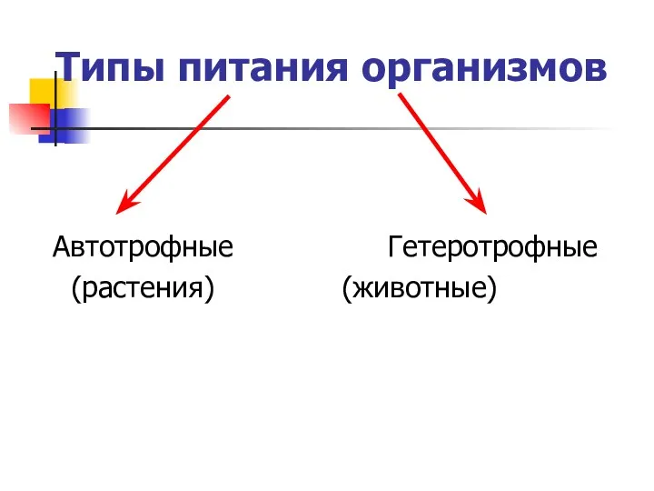 Типы питания организмов Автотрофные Гетеротрофные (растения) (животные)