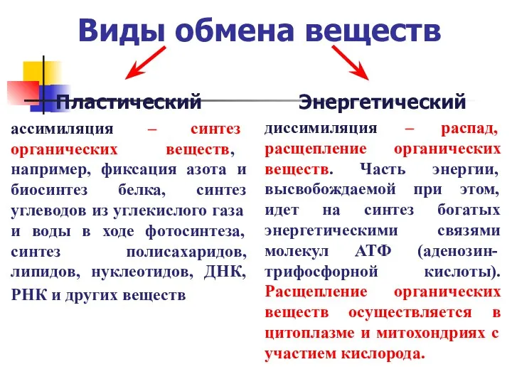 Виды обмена веществ Пластический ассимиляция – синтез органических веществ, например,