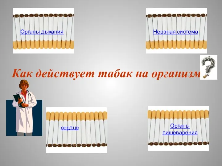 Как действует табак на организм Органы дыхания Нервная система сердце Органы пищеварения