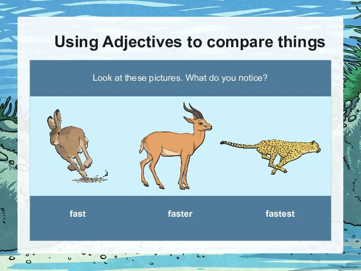 Using Adjectives to compare things Look at these pictures. What do you notice? fast faster fastest