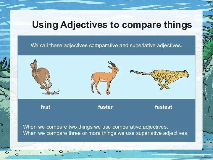 Using Adjectives to compare things We call these adjectives comparative