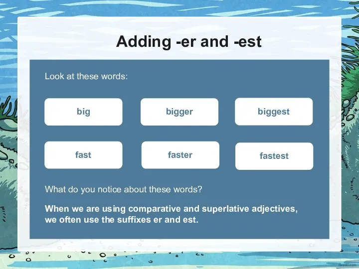 Adding -er and -est Look at these words: What do