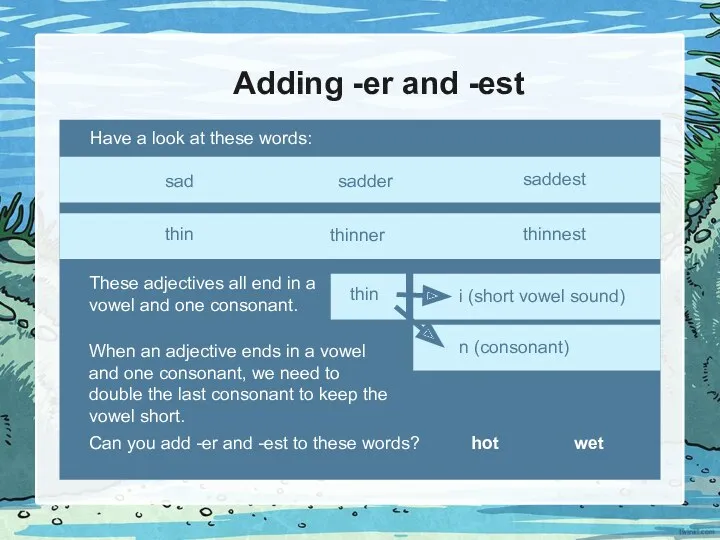 Adding -er and -est These adjectives all end in a