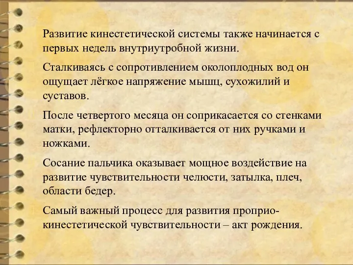 Развитие кинестетической системы также начинается с первых недель внутриутробной жизни.