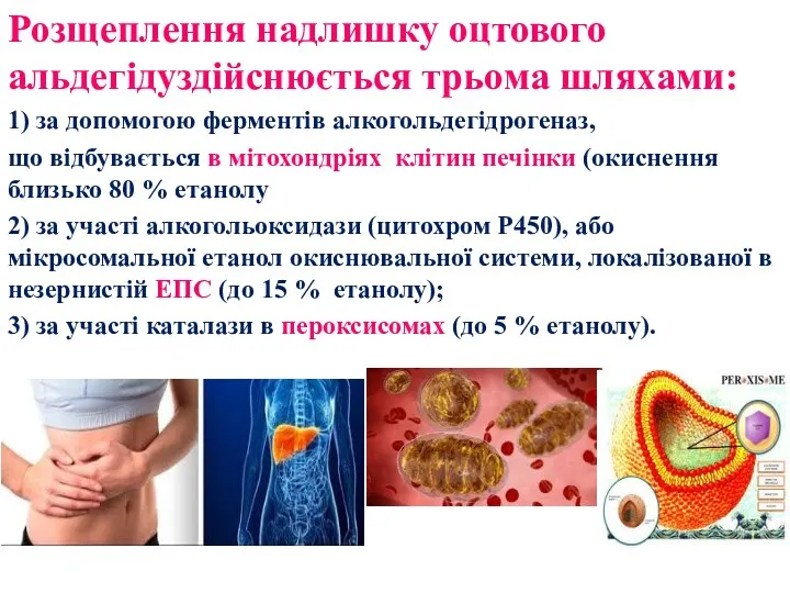 Розщеплення надлишку оцтового альдегідуздійснюється трьома шляхами: 1) за допомогою ферментів