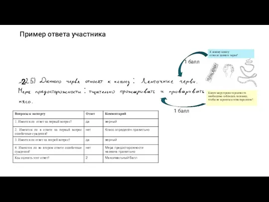 Пример ответа участника К какому классу относят данного червя? Какую