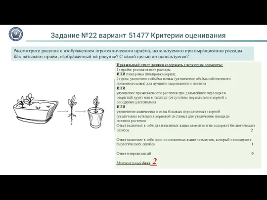 Задание №22 вариант 51477 Критерии оценивания Рассмотрите рисунок с изображением