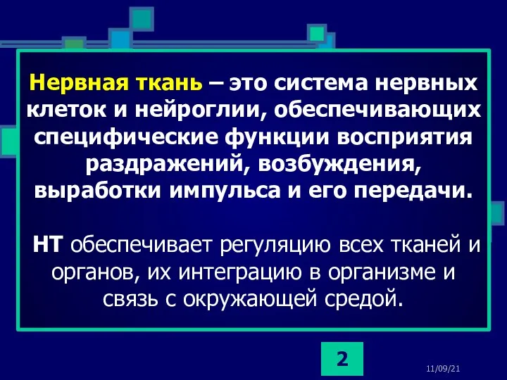 11/09/21 Нервная ткань – это система нервных клеток и нейроглии,