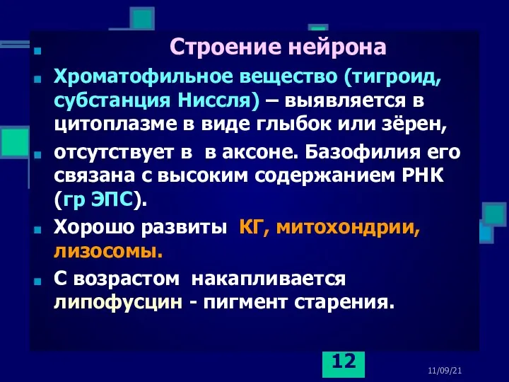 11/09/21 Строение нейрона Хроматофильное вещество (тигроид, субстанция Ниссля) – выявляется