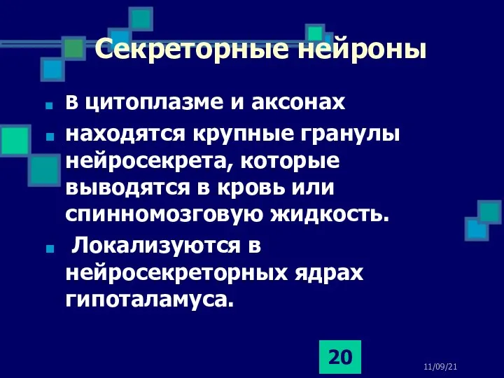 11/09/21 Секреторные нейроны В цитоплазме и аксонах находятся крупные гранулы