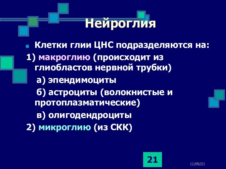 11/09/21 Нейроглия Клетки глии ЦНС подразделяются на: 1) макроглию (происходит