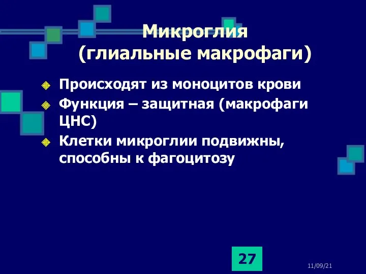 11/09/21 Микроглия (глиальные макрофаги) Происходят из моноцитов крови Функция –