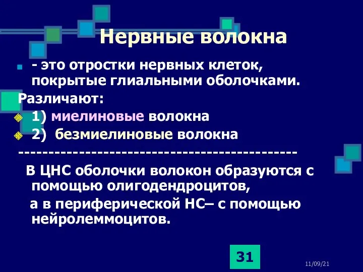 11/09/21 Нервные волокна - это отростки нервных клеток, покрытые глиальными