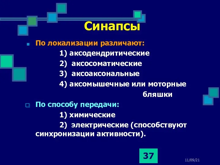 11/09/21 Синапсы По локализации различают: 1) аксодендритические 2) аксосоматические 3)