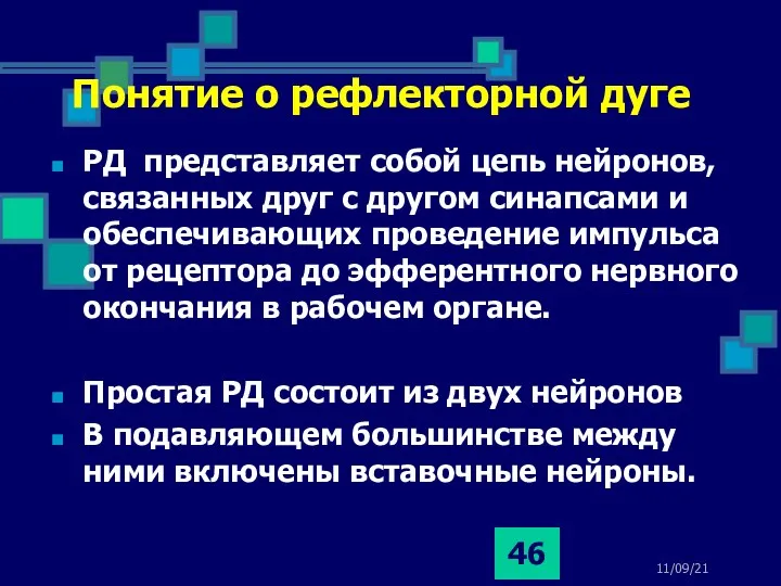 11/09/21 РД представляет собой цепь нейронов, связанных друг с другом