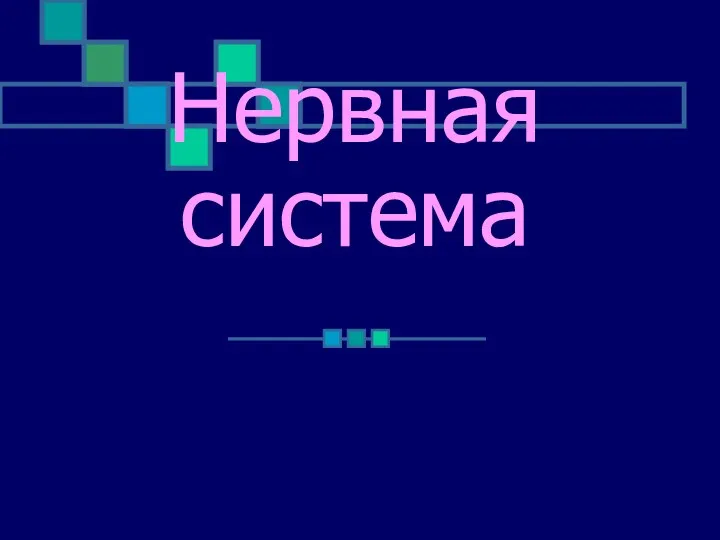 Нервная система