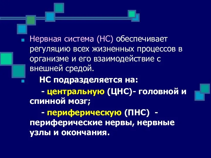 Нервная система (НС) обеспечивает регуляцию всех жизненных процессов в организме