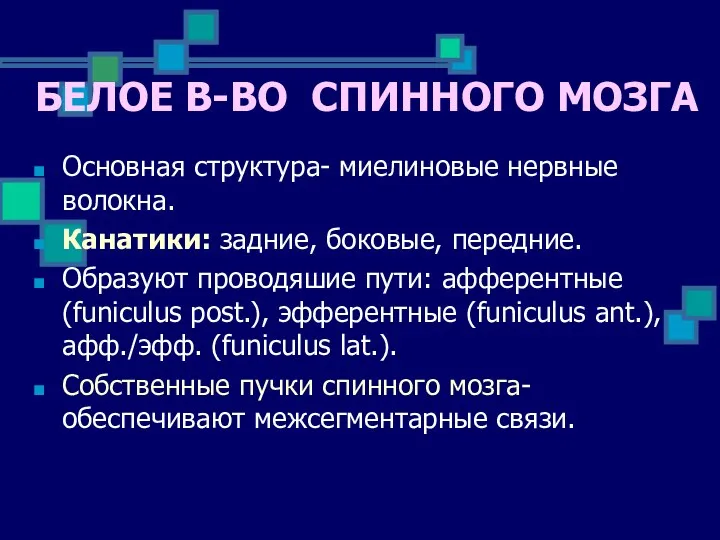 Основная структура- миелиновые нервные волокна. Канатики: задние, боковые, передние. Образуют