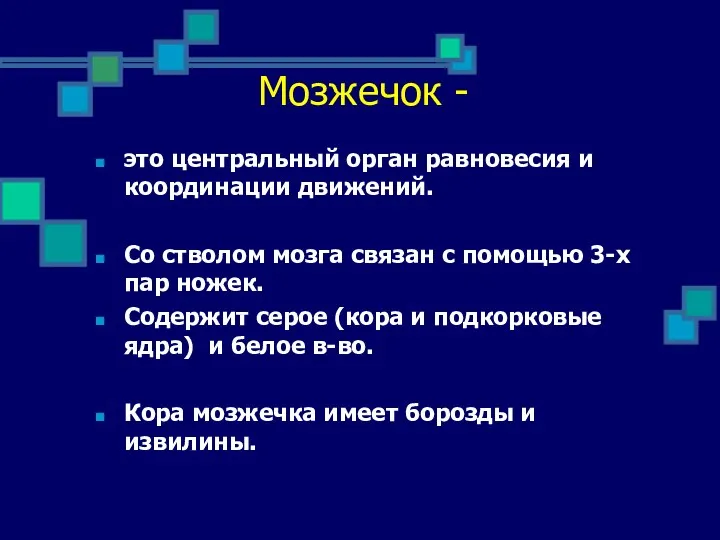 это центральный орган равновесия и координации движений. Со стволом мозга