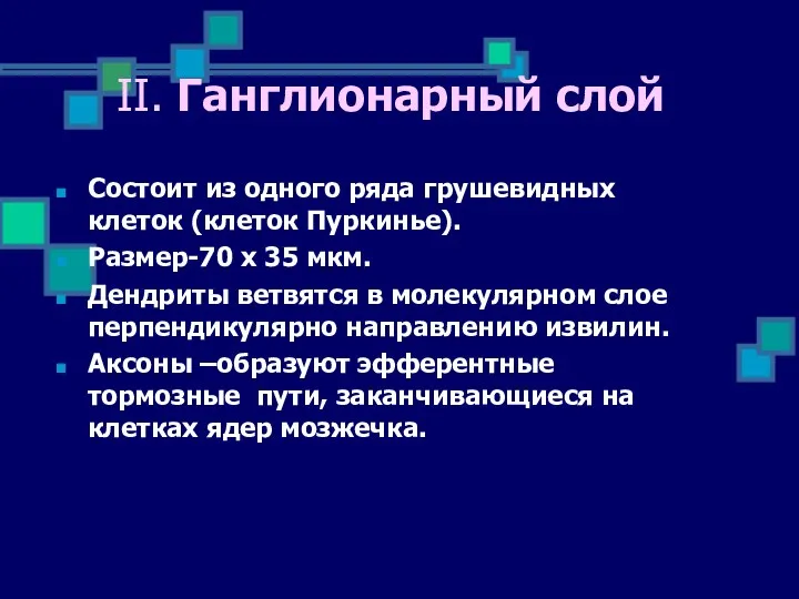 Состоит из одного ряда грушевидных клеток (клеток Пуркинье). Размер-70 х