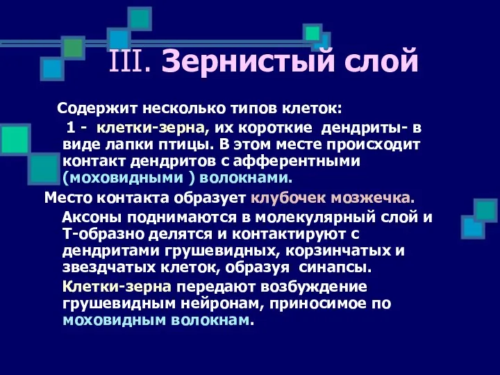 Содержит несколько типов клеток: 1 - клетки-зерна, их короткие дендриты-