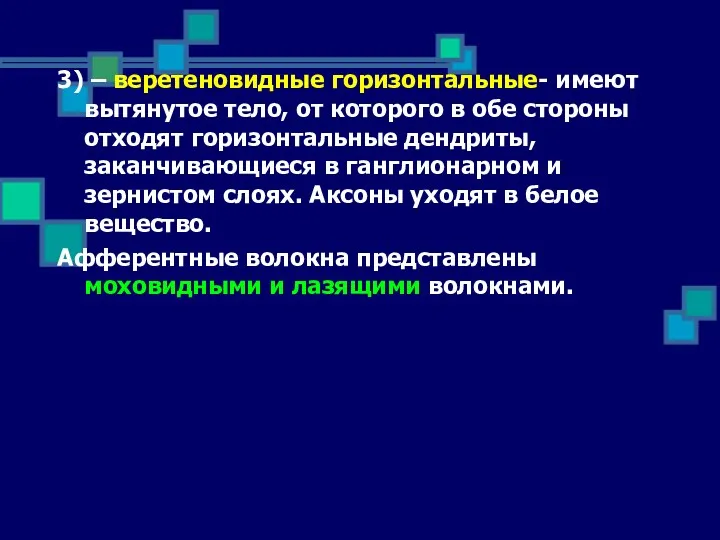 3) – веретеновидные горизонтальные- имеют вытянутое тело, от которого в