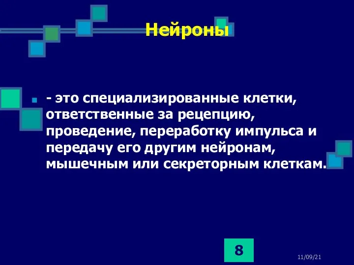 11/09/21 Нейроны - это специализированные клетки, ответственные за рецепцию, проведение,