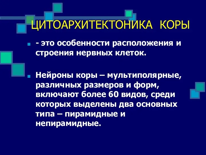 - это особенности расположения и строения нервных клеток. Нейроны коры