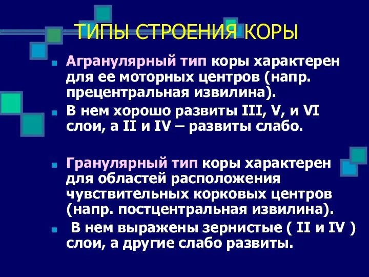 Агранулярный тип коры характерен для ее моторных центров (напр. прецентральная