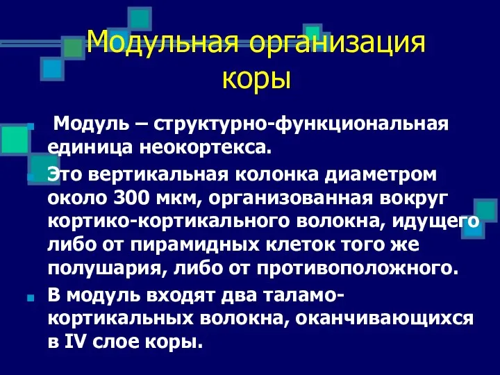 Модуль – структурно-функциональная единица неокортекса. Это вертикальная колонка диаметром около