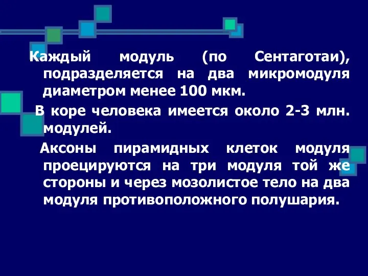 Каждый модуль (по Сентаготаи), подразделяется на два микромодуля диаметром менее