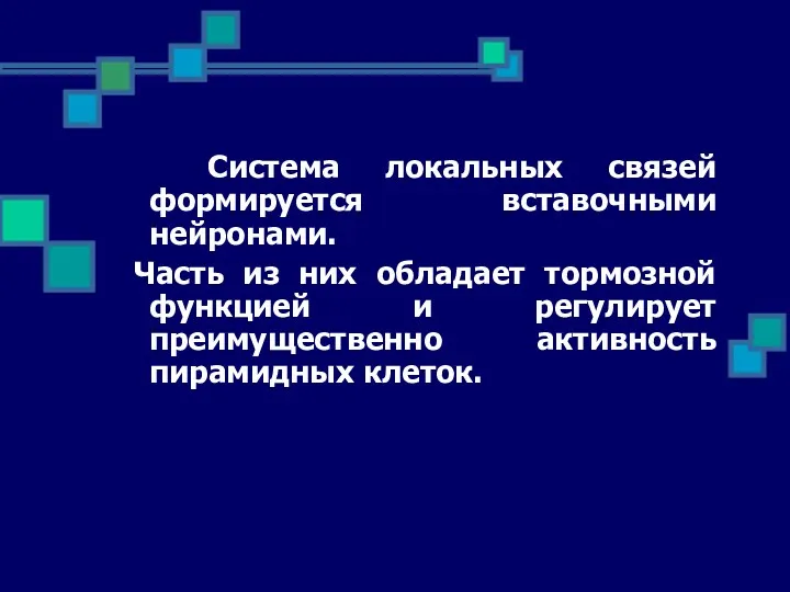 Система локальных связей формируется вставочными нейронами. Часть из них обладает