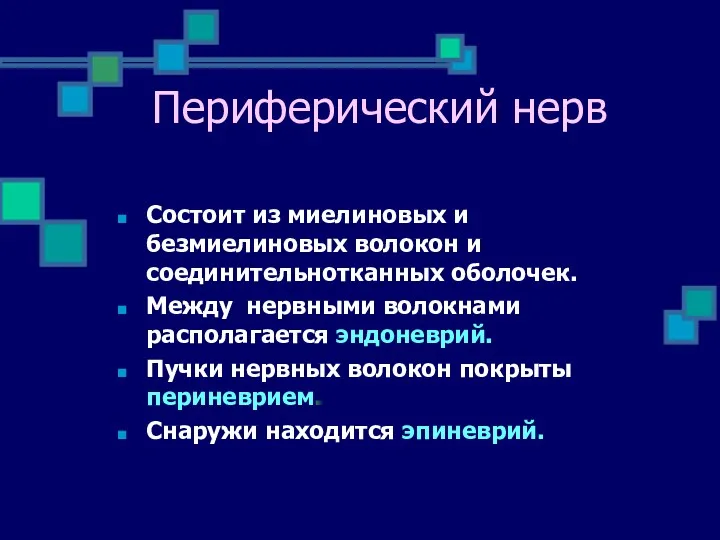 Состоит из миелиновых и безмиелиновых волокон и соединительнотканных оболочек. Между