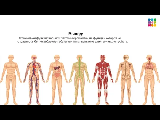 Вывод: Нет ни одной функциональной системы организма, на функции которой